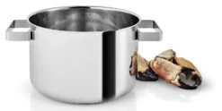 Eva Solo Kookpan Nordic Kitchen RVS - ø 20 Cm / 4 Liter -Thuiskeuken 281240 Nordic Kitchen Pot 4l 20cm regi HIGH