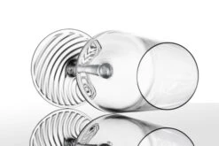 Zwiesel Glas Champagneglazen Echo - 395 Ml - 4 Stuks -Thuiskeuken 4001836117838 2