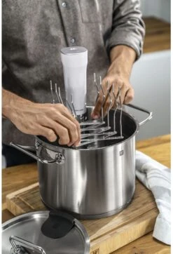Zwilling Verstelbaar Sous Vide Rek Enfinigy - 15 Tot 47 Cm 14 Zwilling Verstelbaar Sous Vide Rek Enfinigy - 15 Tot 47 Cm -Thuiskeuken 4009839643897 6