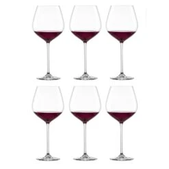 Schott Zwiesel Gin Tonic Glazen Fortissimo - 740 Ml - 6 Stuks -Thuiskeuken CL.22425 Fortissimo Burgunder Gr140 fstb 1