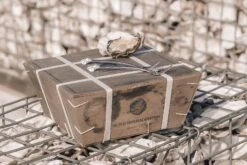 Anovi Oestervorkjes - 4 Stuks -Thuiskeuken Oysterforks