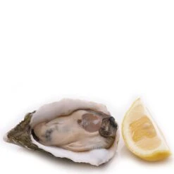 Westmark Oesteropener Zwart/RVS -Thuiskeuken Westmark Oesteropener Zwart 2