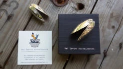 Anovi Mosselbestek 2-delig -Thuiskeuken anovi mosselbestek