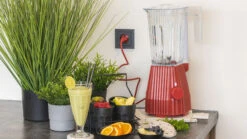 Alessi Blender Plissé - 5 Snelheden + Turbostand - Rood - Michele De Lucchi - 1.5 Liter - MDL09 R -Thuiskeuken blender 7