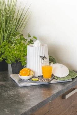 Alessi Citruspers Plissé - Elektrisch - Wit - Michele De Lucchi - MDL07 W -Thuiskeuken citruspers 3