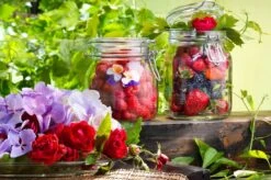 Bormioli Rocco Weckpot Fido 11 X 11 Cm / 1.5 Liter -Thuiskeuken e000316 3